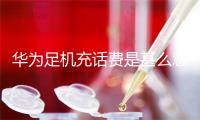 华为足机充话费是甚么意义