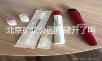 北京矿坑公园粉黛开了吗2023