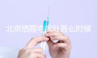 北京栖霞寺枫叶甚么时候白 北京往那里赏枫叶