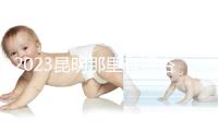 2023昆明那里有银杏树林